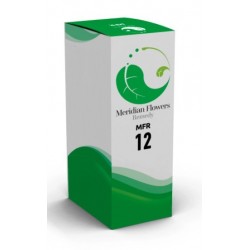 Sitar Italia Mfr 12...