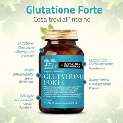 Salugea Glutatione Forte 60 Capsule