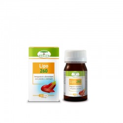 Renaco Italia R. I. Group...