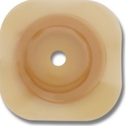 Hollister Conform 2 Placca...