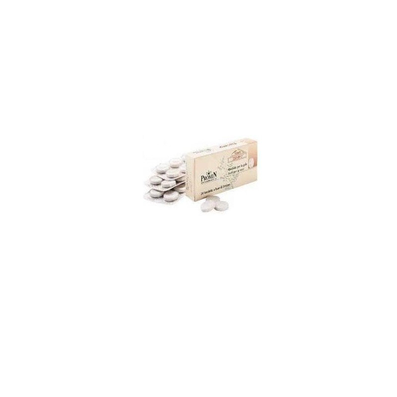 Promin Coro Erisimo 24 Compresse 28,8 G