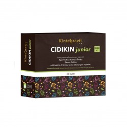 Sitar Italia Cidikin Junior...