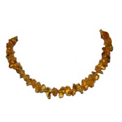 Alma Briosa Almababy Ambra...