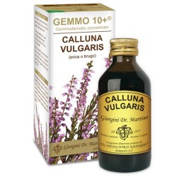 Dr. Giorgini Ser-vis Gemmo...