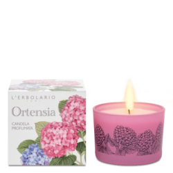 ortensia candela profumata