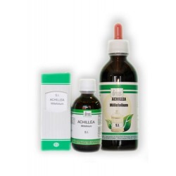 Direos Di Grisenti D....