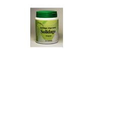 Phytoitalia Solidago 60...