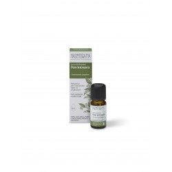 Nasoterapia Olio Essenziale Ravintsara Biologico 100% Puro Naturale 5 ml Balsamico e Purificante
