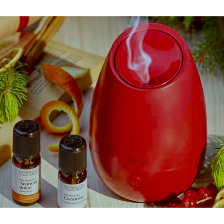 Nasoterapia Kit Aria di Festa con Diffusore Bloom Holly con 2 Oli Essenziali di Cannella e Arancio