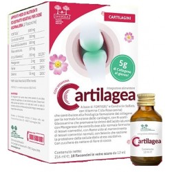 Cartilagea Salugea 18...