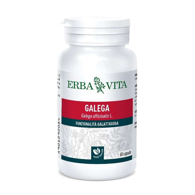 Erba Vita Galega 60 Capsule