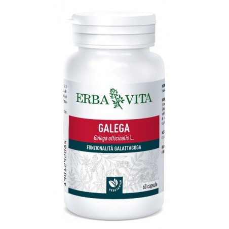 Erba Vita Galega 60 Capsule