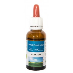 Zetaciesse Flos Animi...