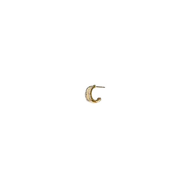 Bjt203 Orecchini Miami Gold Stainless Steel