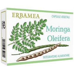Erbamea Moringa Oleifera 24...