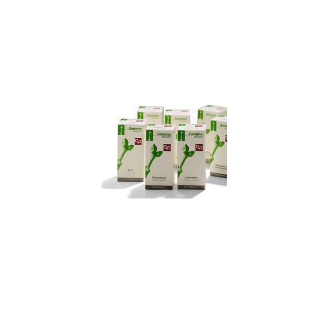 Fitomedical Carpino Macerato Glicerico 100 Ml