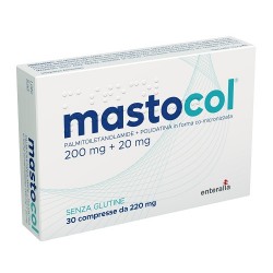 Epitech Mastocol 30...