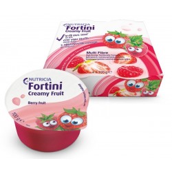 Danone Fortini Creamy Fruit...