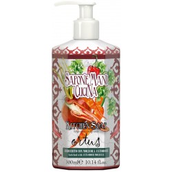 Le Maioliche Sapone Mani Cucina Ortus con Antiodore 300 ml Rudy Profumi