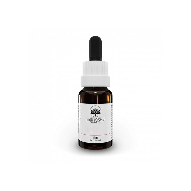 Natur Red Lily Essenza 15 Ml 1 Pezzo