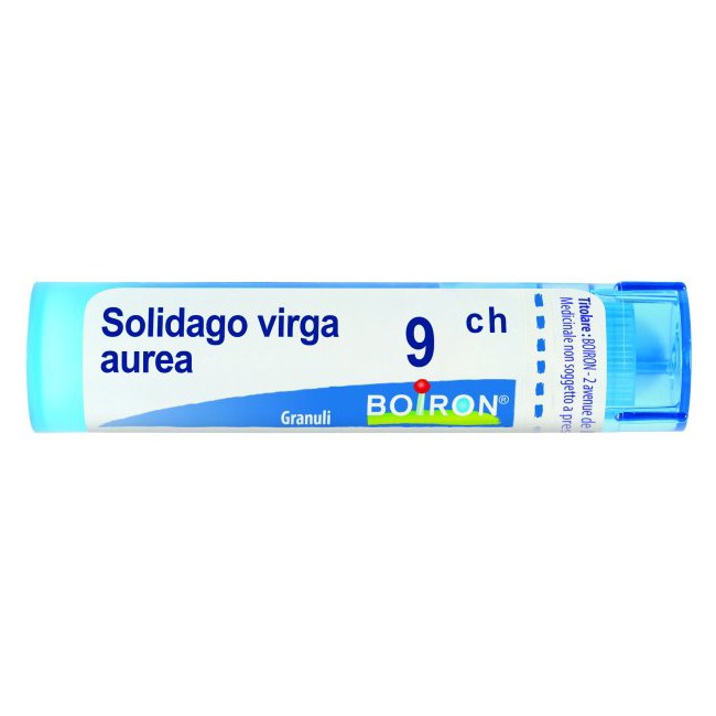 Boiron Solidago Virga Au 9ch Gr 4g