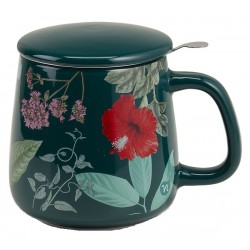 Neavita Herbarium Infusiera Verde 400 ml