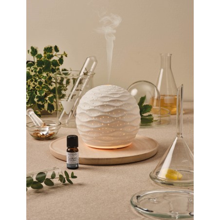 Nasoterapia Onde Diffusore ad Ultrasuoni per Oli Essenziali in Ceramica Nasoterapia Onde Diffusore ad Ultrasuoni per Oli Essenziali in Ceramica