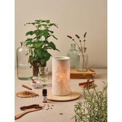 Nasoterapia Tonka Diffusore Elettrico per Oli Essenziali  Acceso Nasoterapia Tonka Diffusore Elettrico per Oli Essenziali  Acceso
