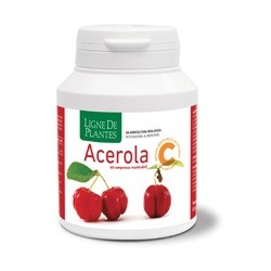 Natura Service Acerola Bio...