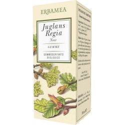 Erbamea Juglans Regia Noce...