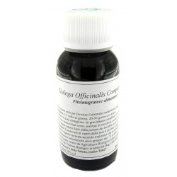 Labor Villa Stoddard Lvs...