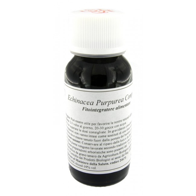 Labor Villa Stoddard Lvs 67s Echinacea Purpurea Compositum