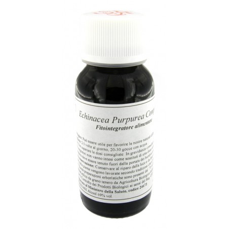 Labor Villa Stoddard Lvs 67s Echinacea Purpurea Compositum