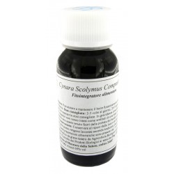 Labor Villa Stoddard Lvs...