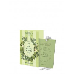 Nasoterapia Card Profumata  Lime e Foglie di Menta per Cassetti e Armadi