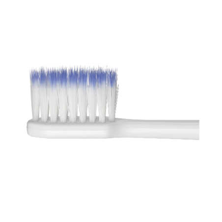 Sunstar Italiana Gum Sonic Daily Spazzolino Batteria Refill Black 2 Pezzi