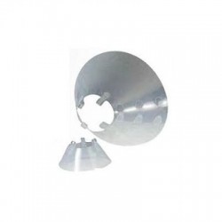 Dlm Collare Elisabettiano...