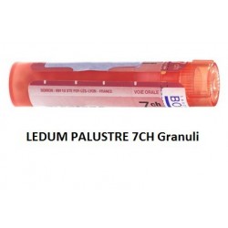 Boiron Ledum Palustre 7 Ch Granuli