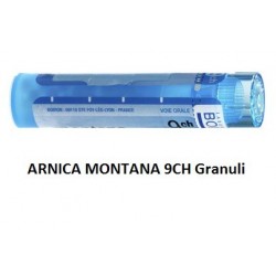 Boiron Arnica 9 Ch Granuli