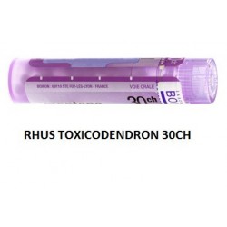 Boiron Rhus Toxicod Boi 30ch 80gr4g