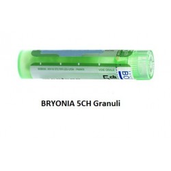 Boiron Bryonia Alba 5ch Granuli Tubo Multidose 80 Granuli per Dolori Boiron Bryonia Alba 5ch Granuli Tubo Multidose 80 Granuli per Dolori