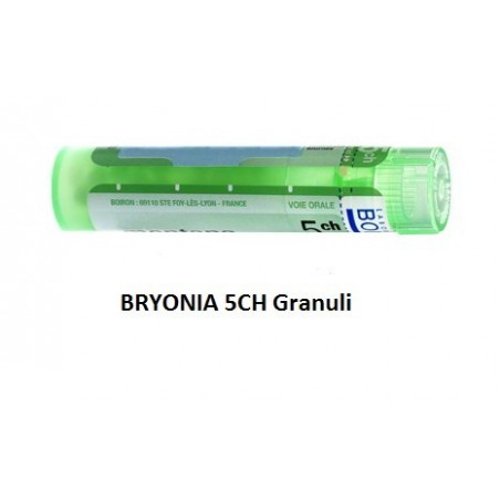 Boiron Bryonia Alba 5ch Granuli Tubo Multidose 80 Granuli per Dolori Boiron Bryonia Alba 5ch Granuli Tubo Multidose 80 Granuli per Dolori