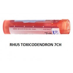 Boiron Rhus Toxicod Boi 7ch 80gr 4g