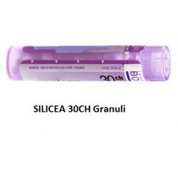 Boiron Silicea 30 Ch Granuli