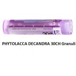 Boiron Phytolacca De Boi 30ch 80gr