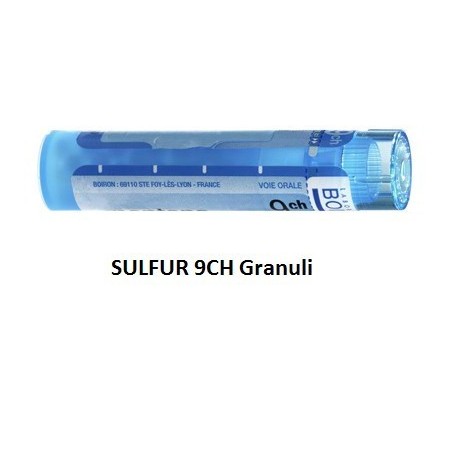 Boiron Sulfur Boi 9ch 80gr 4g