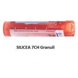 Boiron Silicea 7 Ch Granuli