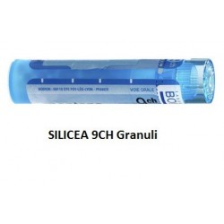 Boiron Silicea 9 Ch Granuli