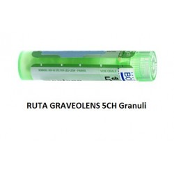 Boiron Ruta Grav Boi 5ch 80gr 4g