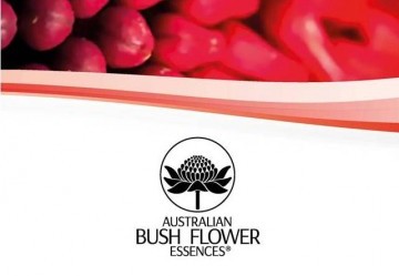 Fiori Australiani Bush Flower: cosa sono e a cosa servono?